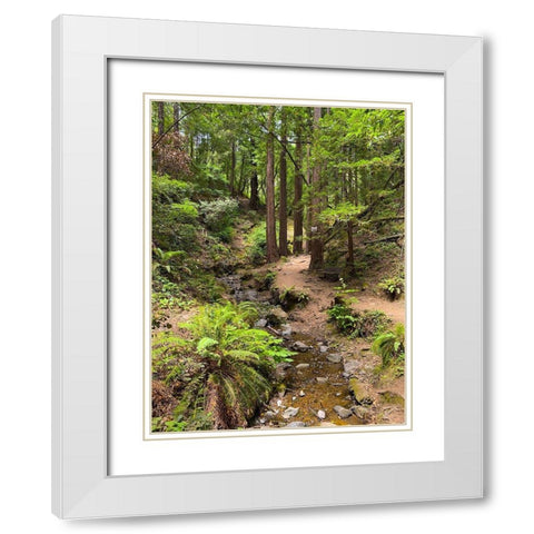 Creekside I White Modern Wood Framed Art Print with Double Matting by Grayscale