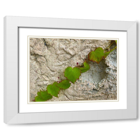 Ivy III White Modern Wood Framed Art Print with Double Matting by Grayscale