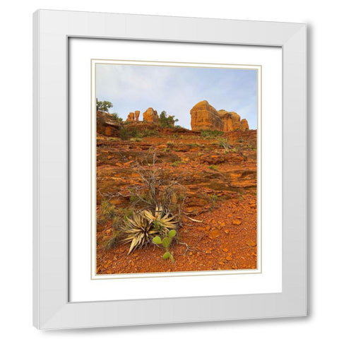 Sedona II White Modern Wood Framed Art Print with Double Matting by Grayscale