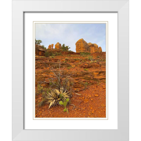 Sedona II White Modern Wood Framed Art Print with Double Matting by Grayscale