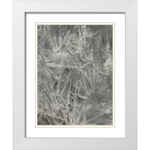 Ice I White Modern Wood Framed Art Print with Double Matting by Grayscale