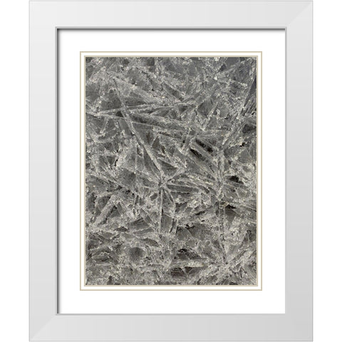 Ice II White Modern Wood Framed Art Print with Double Matting by Grayscale