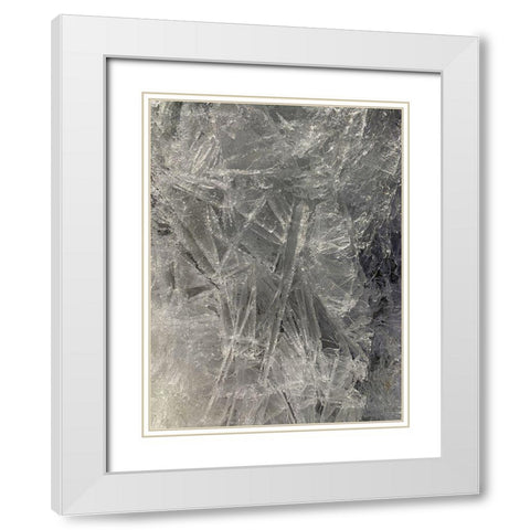 Ice III White Modern Wood Framed Art Print with Double Matting by Grayscale