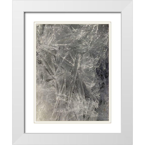 Ice III White Modern Wood Framed Art Print with Double Matting by Grayscale