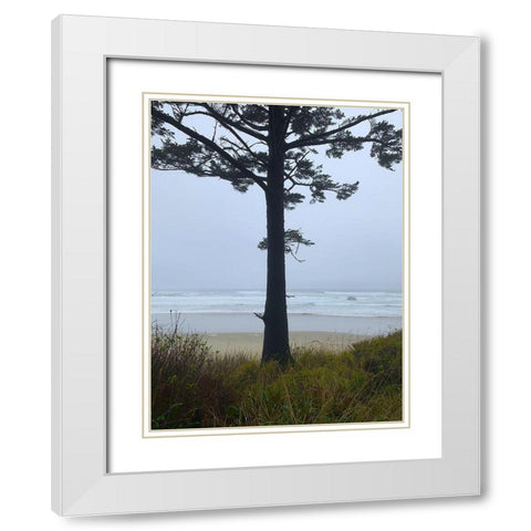 Costal Tree View I White Modern Wood Framed Art Print with Double Matting by Grayscale