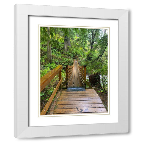 Forest Bridge IV White Modern Wood Framed Art Print with Double Matting by Grayscale