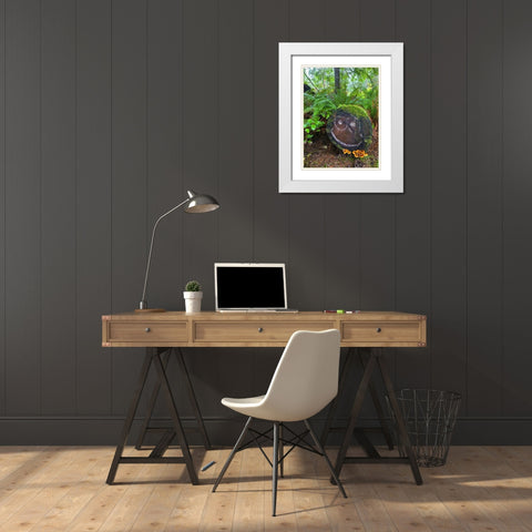 Forest Happy Face I White Modern Wood Framed Art Print with Double Matting by Grayscale