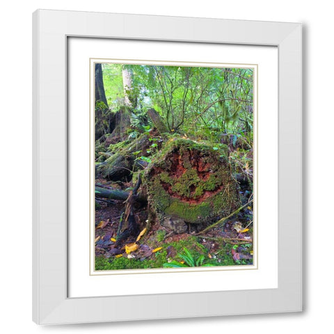 Forest Happy Face II White Modern Wood Framed Art Print with Double Matting by Grayscale