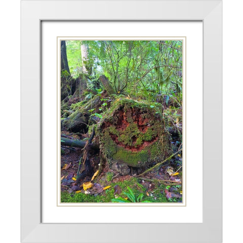 Forest Happy Face II White Modern Wood Framed Art Print with Double Matting by Grayscale