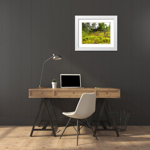 Miniature Forest I White Modern Wood Framed Art Print with Double Matting by Grayscale