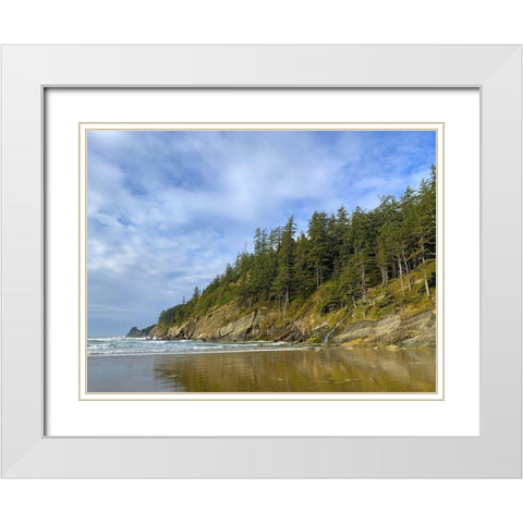 Eroded Coast IV White Modern Wood Framed Art Print with Double Matting by Grayscale