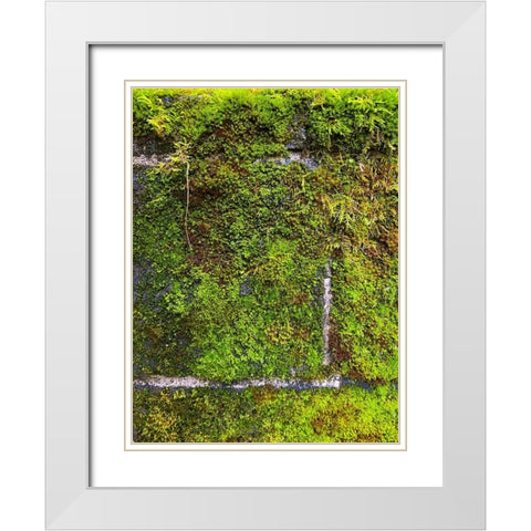 Stone Wall I White Modern Wood Framed Art Print with Double Matting by Grayscale