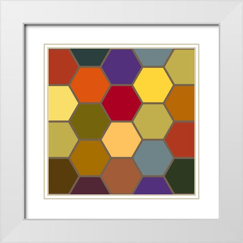 Bright Hive IV White Modern Wood Framed Art Print with Double Matting by Grayscale