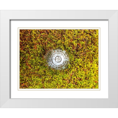 US Geodetic Survey Point I White Modern Wood Framed Art Print with Double Matting by Grayscale
