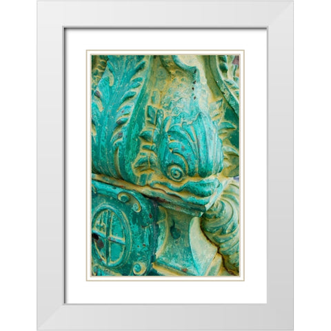 Fish Head I White Modern Wood Framed Art Print with Double Matting by Grayscale