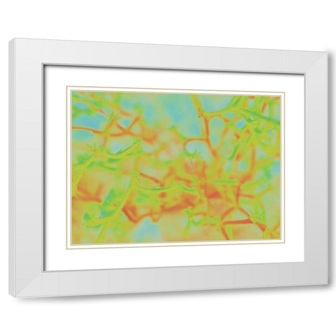 Confetti II White Modern Wood Framed Art Print with Double Matting by Popcorn