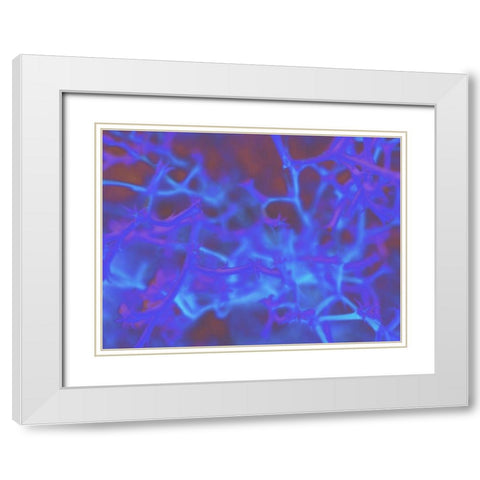 Confetti III White Modern Wood Framed Art Print with Double Matting by Popcorn