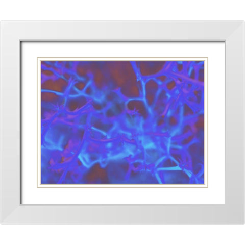 Confetti III White Modern Wood Framed Art Print with Double Matting by Popcorn