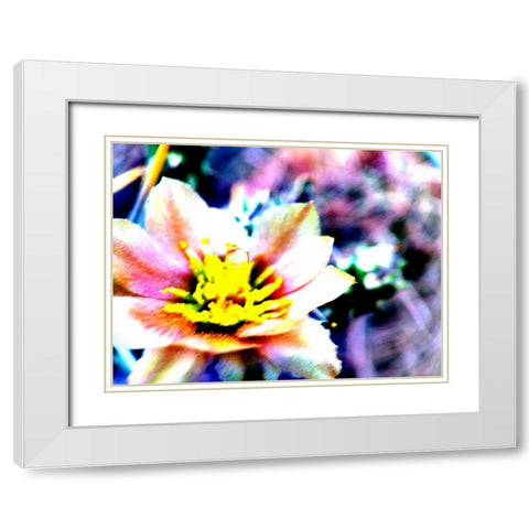 Cactus Flower White Modern Wood Framed Art Print with Double Matting by Popcorn