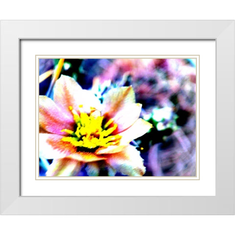 Cactus Flower White Modern Wood Framed Art Print with Double Matting by Popcorn