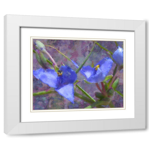 Tradescantia White Modern Wood Framed Art Print with Double Matting by Popcorn