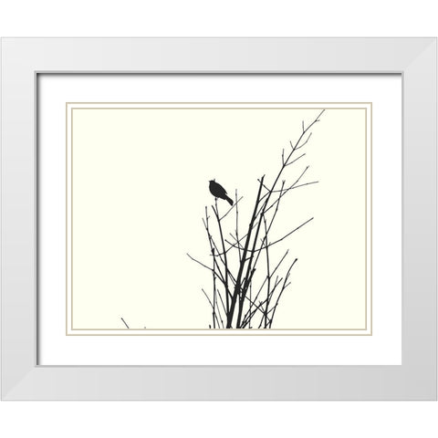 Bird Silhouette: BandW White Modern Wood Framed Art Print with Double Matting by Popcorn