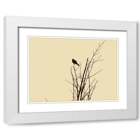 Bird Silhouette: Brown/Ivory White Modern Wood Framed Art Print with Double Matting by Popcorn
