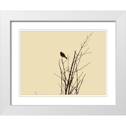 Bird Silhouette: Brown/Ivory White Modern Wood Framed Art Print with Double Matting by Popcorn