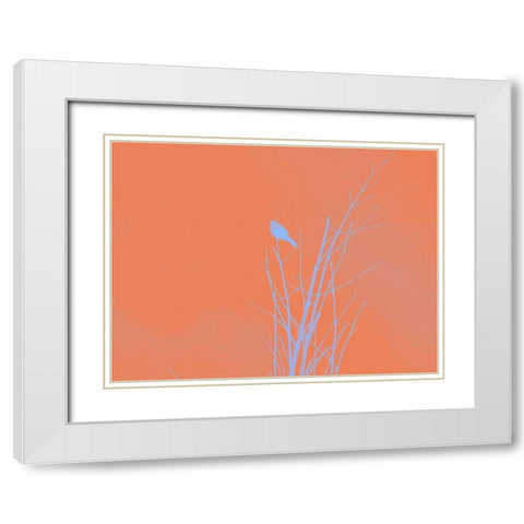 Bird Silhouette I White Modern Wood Framed Art Print with Double Matting by Popcorn