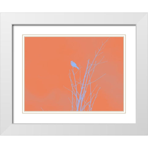Bird Silhouette I White Modern Wood Framed Art Print with Double Matting by Popcorn