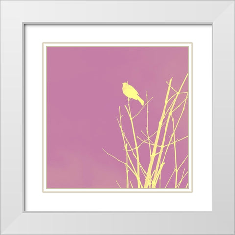 Bird Silhouette III White Modern Wood Framed Art Print with Double Matting by Popcorn