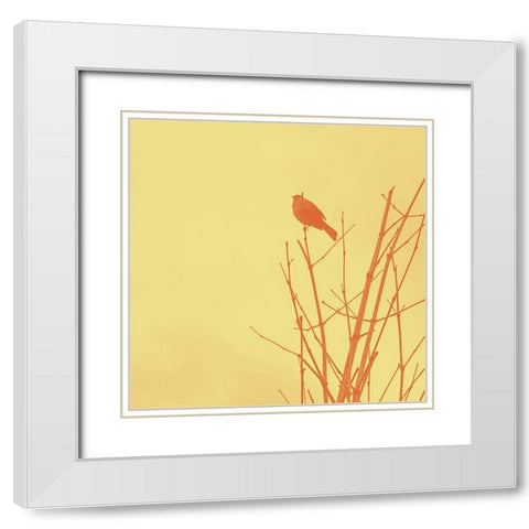 Bird Silhouette IV White Modern Wood Framed Art Print with Double Matting by Popcorn