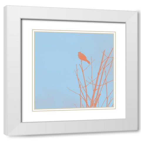 Bird Silhouette V White Modern Wood Framed Art Print with Double Matting by Popcorn