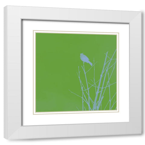 Bird Silhouette VI White Modern Wood Framed Art Print with Double Matting by Popcorn