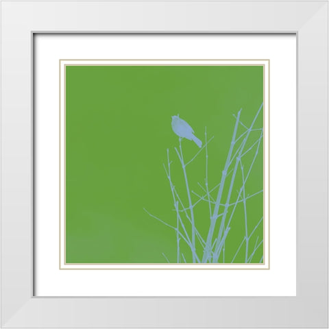 Bird Silhouette VI White Modern Wood Framed Art Print with Double Matting by Popcorn