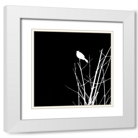 Bird Silhouette VII White Modern Wood Framed Art Print with Double Matting by Popcorn