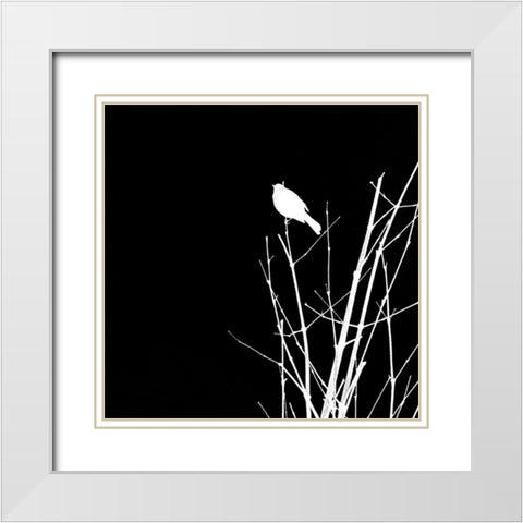 Bird Silhouette VII White Modern Wood Framed Art Print with Double Matting by Popcorn