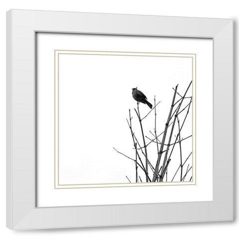 Bird Silhouette VIII White Modern Wood Framed Art Print with Double Matting by Popcorn