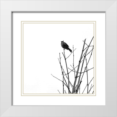 Bird Silhouette VIII White Modern Wood Framed Art Print with Double Matting by Popcorn