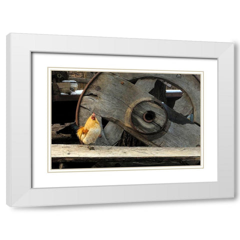 Cock of the Walk White Modern Wood Framed Art Print with Double Matting by Popcorn