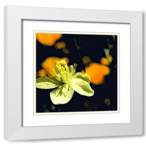 Moody White Flower I White Modern Wood Framed Art Print with Double Matting by Popcorn