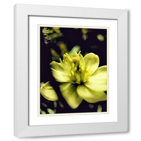 Moody White Flower II White Modern Wood Framed Art Print with Double Matting by Popcorn