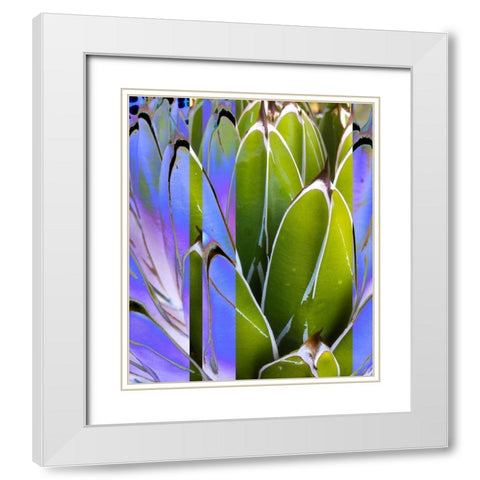 Moods Agave IV White Modern Wood Framed Art Print with Double Matting by Tenoever, William