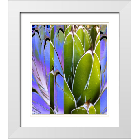 Moods Agave IV White Modern Wood Framed Art Print with Double Matting by Tenoever, William