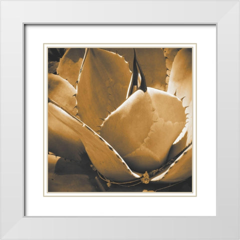 Mescal Agave: Sepia White Modern Wood Framed Art Print with Double Matting by Tenoever, William