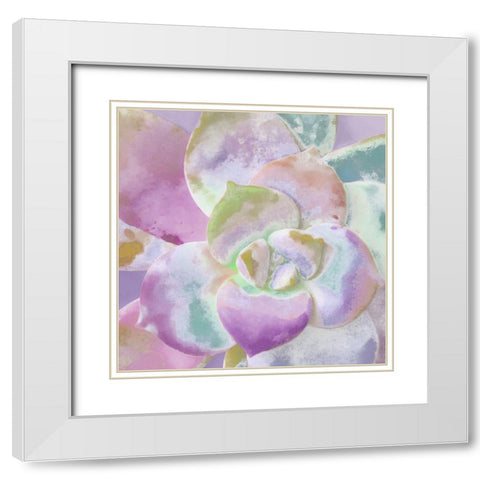 Moods Succulent II White Modern Wood Framed Art Print with Double Matting by Tenoever, William