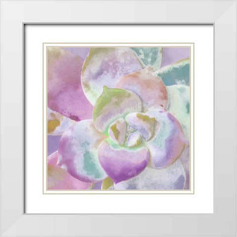 Moods Succulent II White Modern Wood Framed Art Print with Double Matting by Tenoever, William