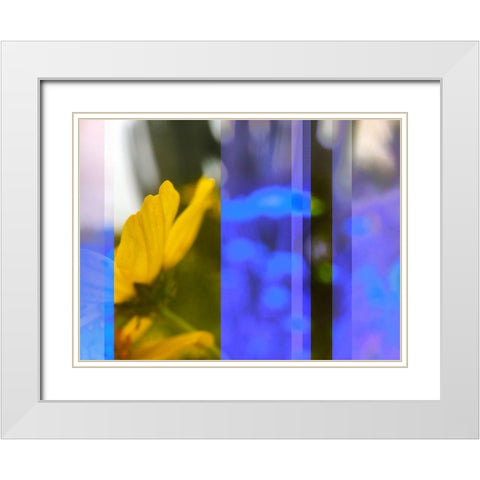 Stripes: Brittle Bush White Modern Wood Framed Art Print with Double Matting by Tenoever, William