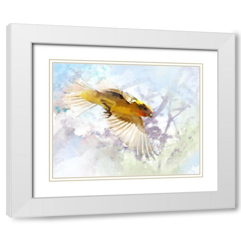 Oriole White Modern Wood Framed Art Print with Double Matting by Tenoever, William