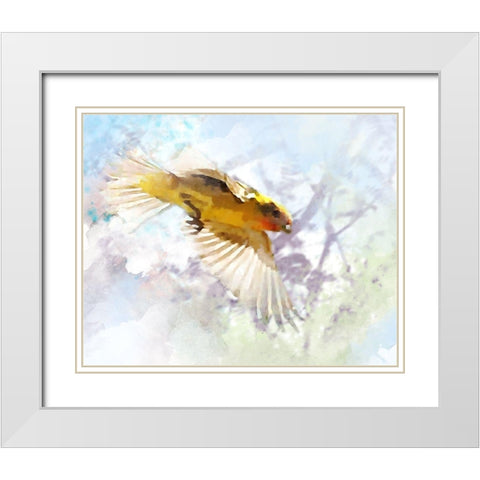 Oriole White Modern Wood Framed Art Print with Double Matting by Tenoever, William